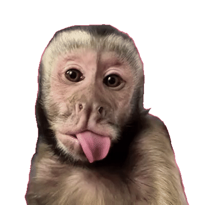 Daftar Sekarang